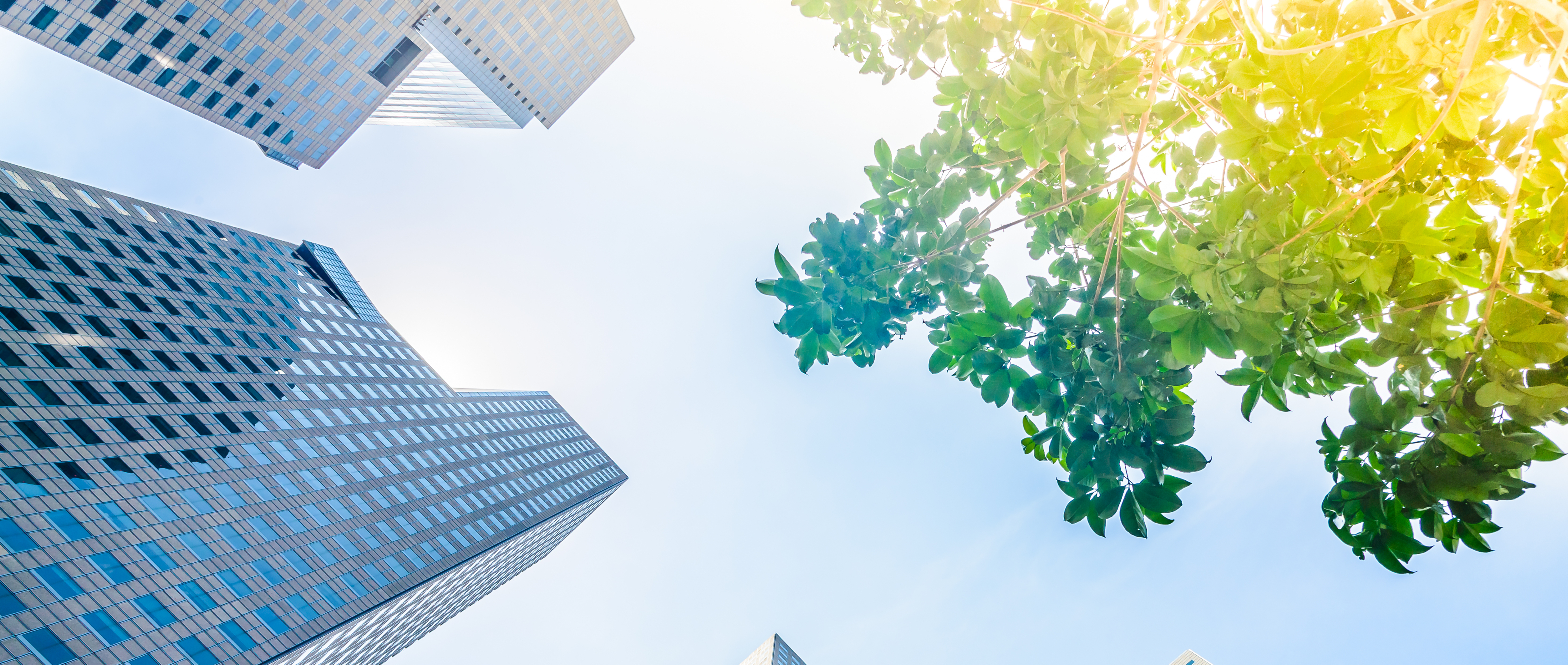 高層ビルの風景